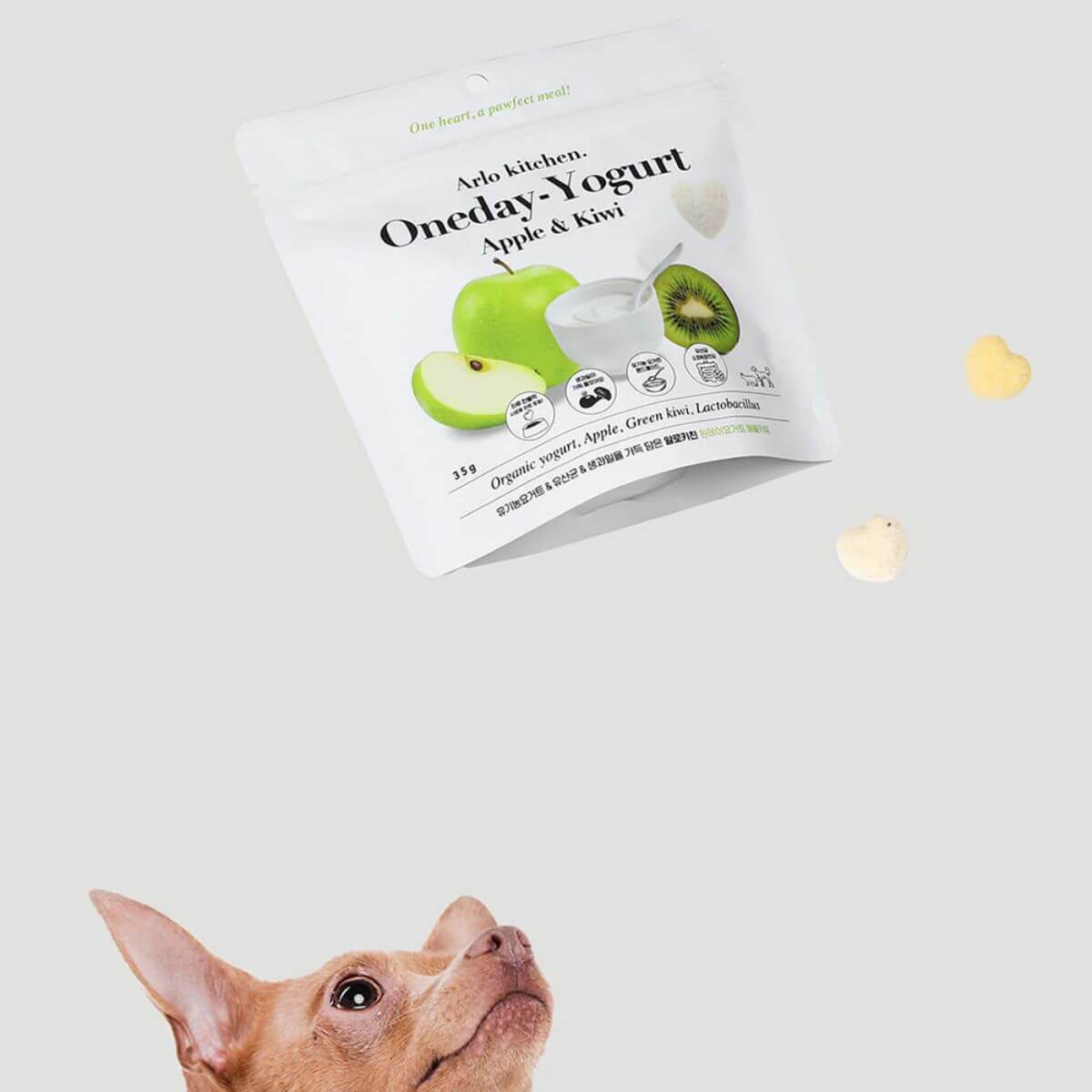 A chihuahua with the Arlo Kitchen Oneday Yogurt Apple and Kiwi against a white background.