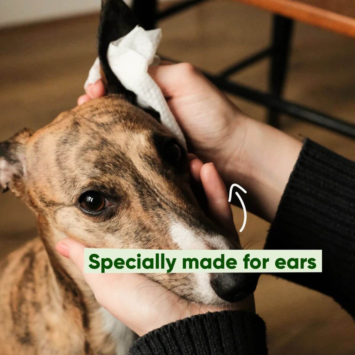 Beco ear wipes used on a dog.