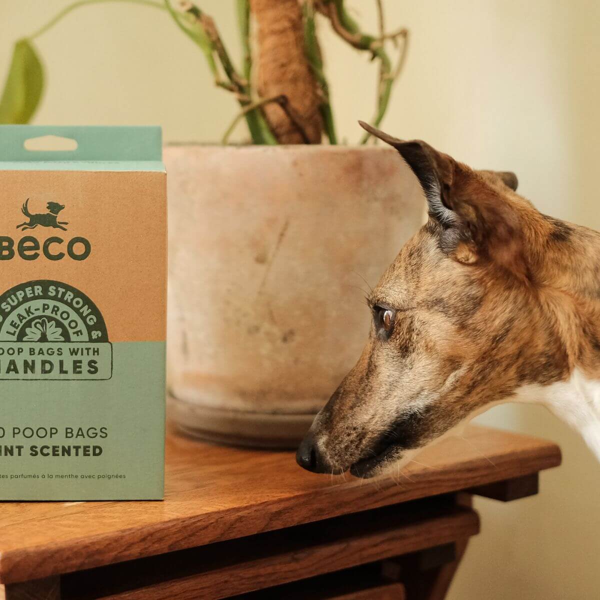 Beco mint scented poop bags with a dog in the foreground.