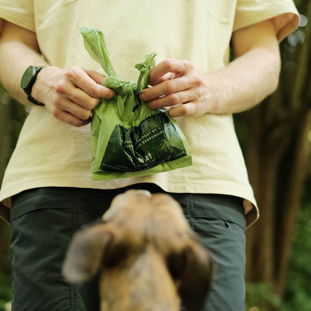Beco mint scented poop bags tied up.