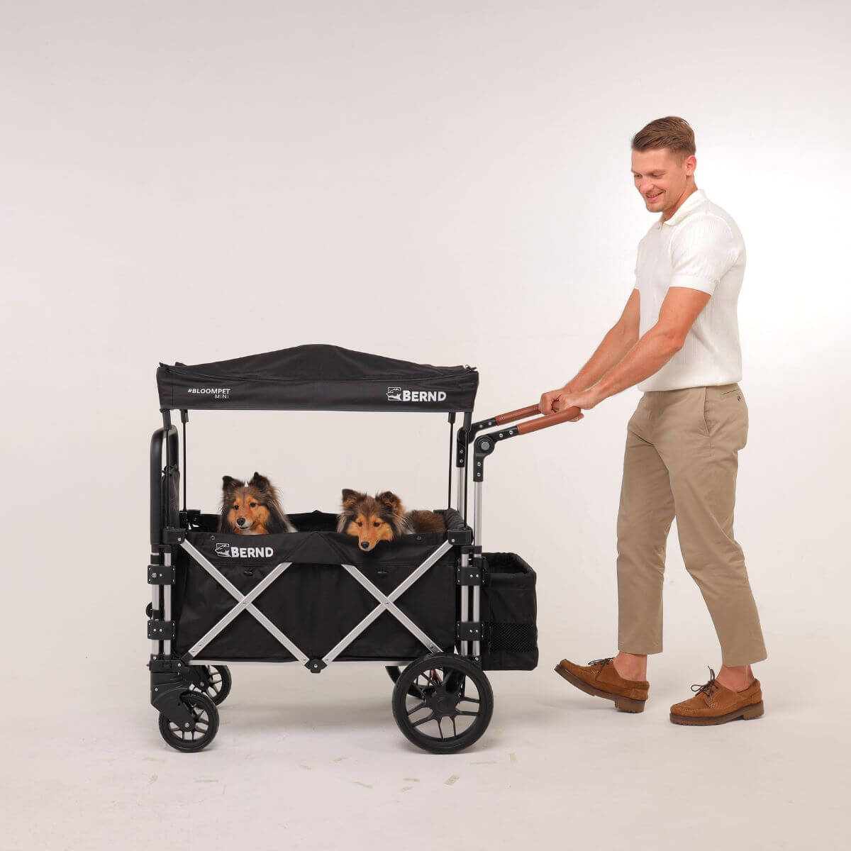 A man pushing the Bernd Pets Bloom Mini in Midnight Black against a white background with 2 dogs inside.