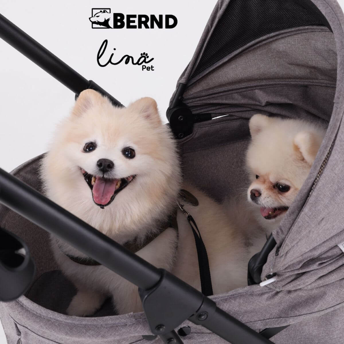 Bernd Pets Autofold Lina in Manatee Grey against a white background with 2 dogs in it.