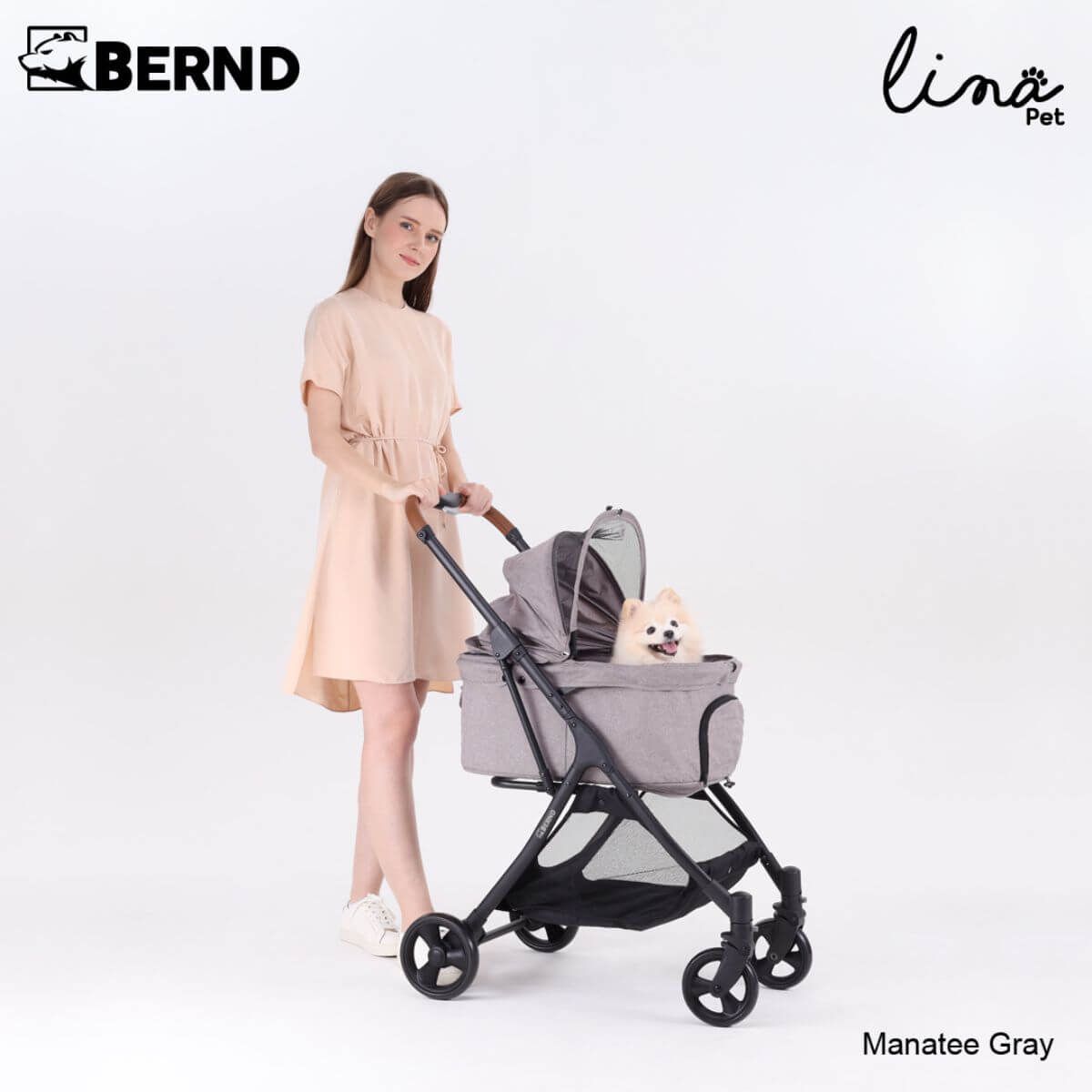 A woman pushing the Bernd Pets Autofold Lina in Manatee Grey against a white background with a pomeranian in it.