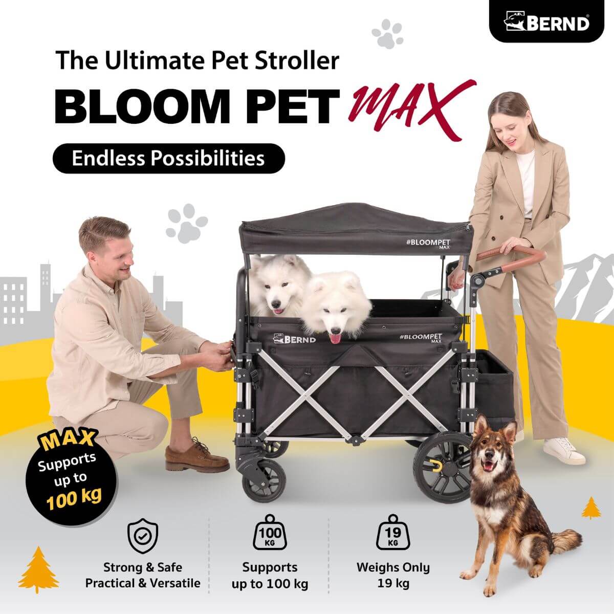 Bernd Pets Bloom Max features.