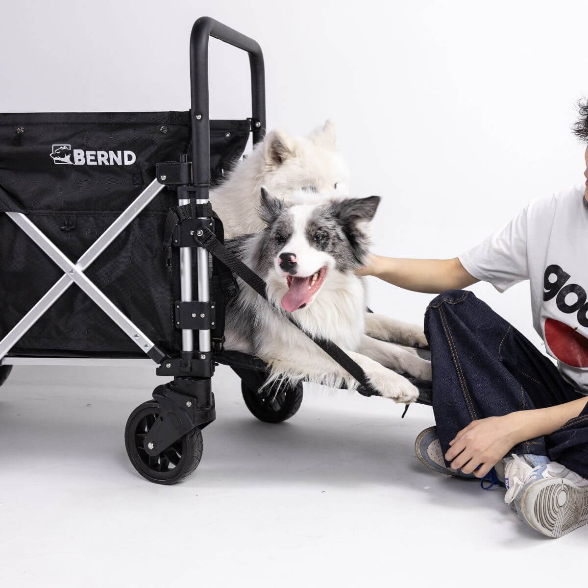 Bernd Pets Bloom Max Midnight Black against a white background.
