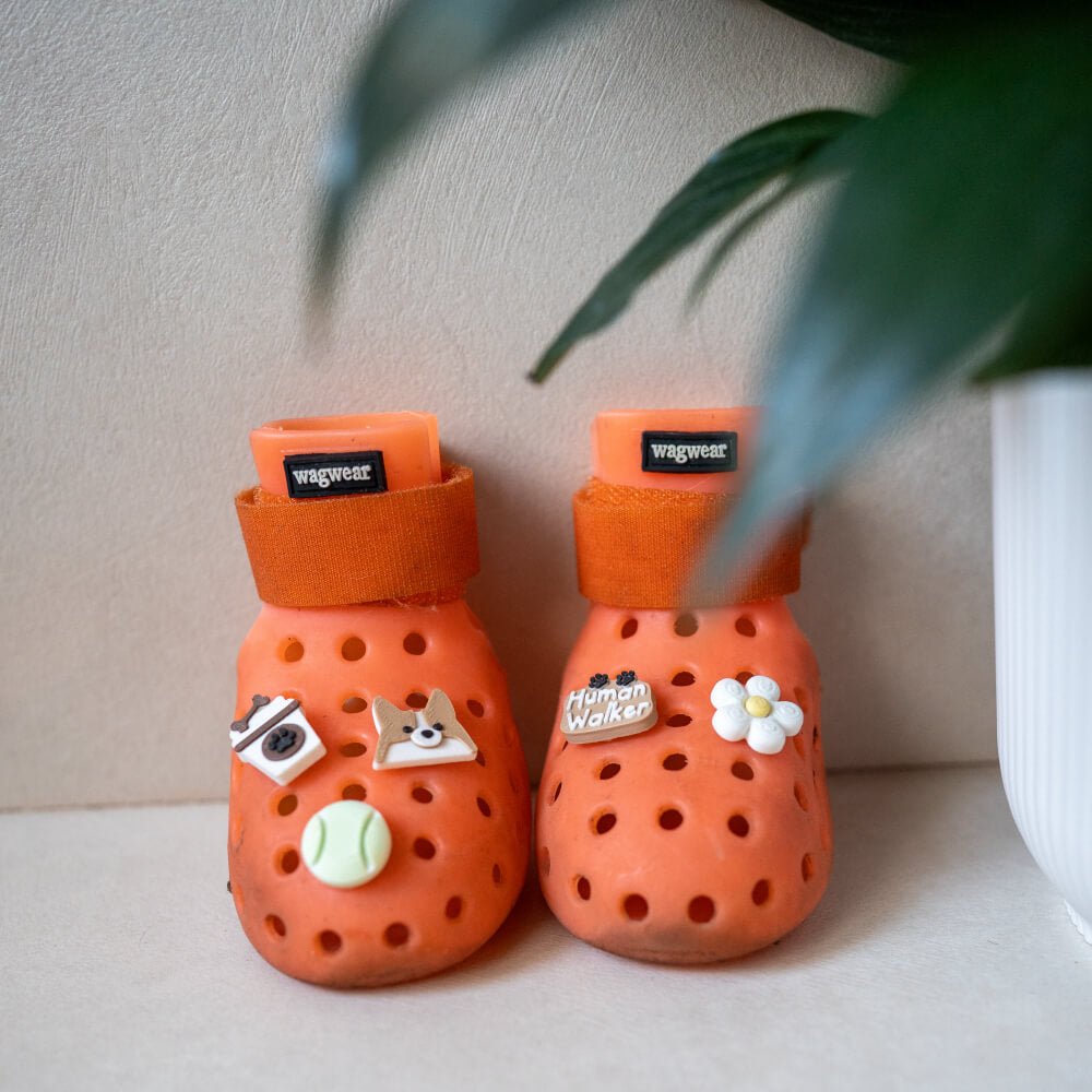 Elyand.co Shoe Charms | Shiba