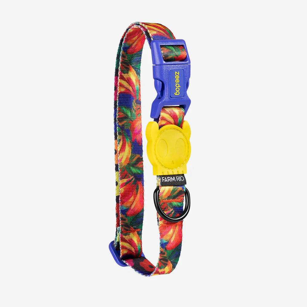 Zee.Dog Collar | Samba