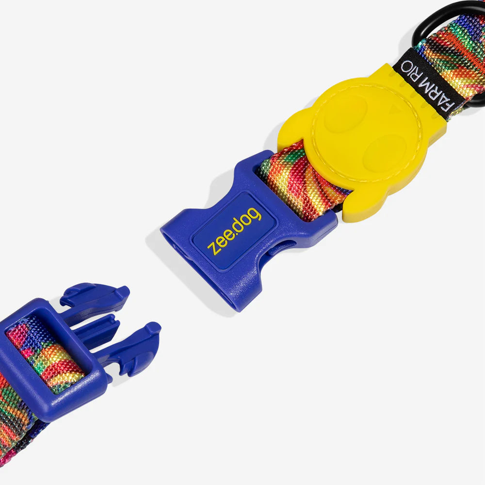 Zee.Dog Collar | Samba
