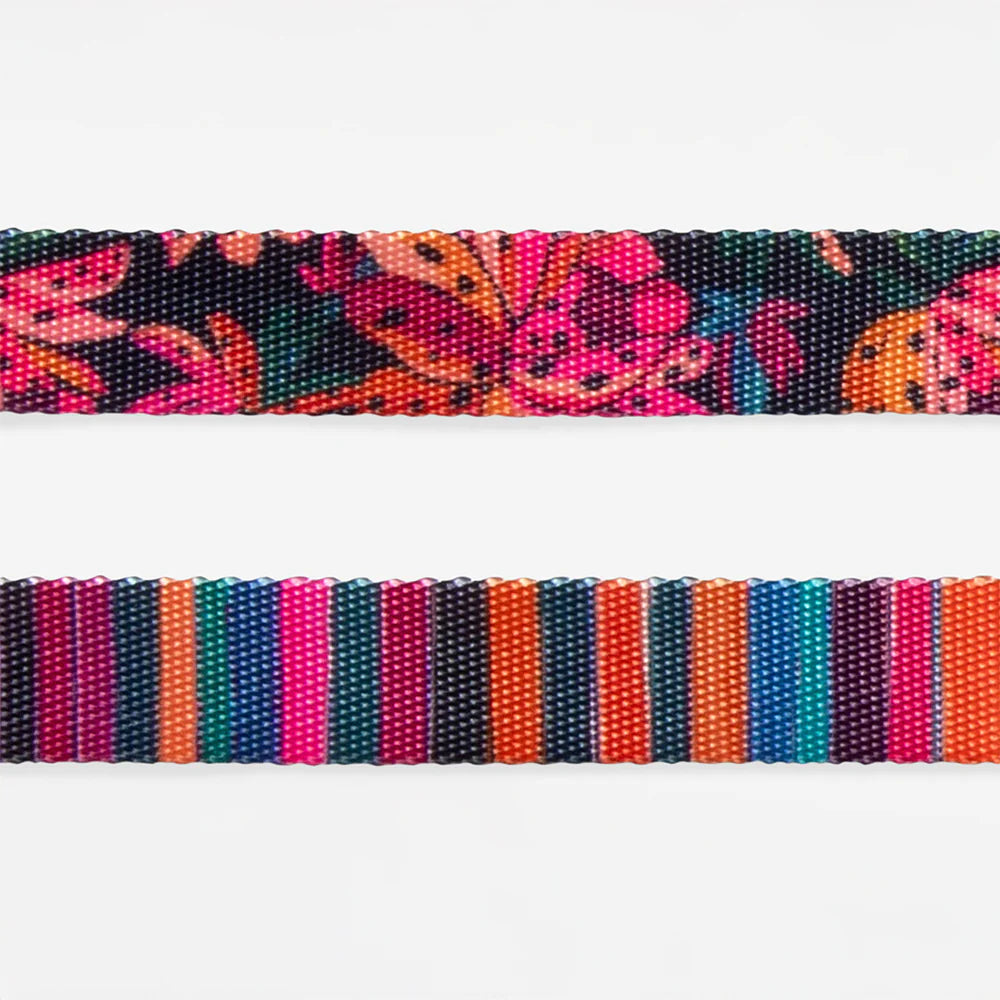 Zee.Dog Collar | Selva