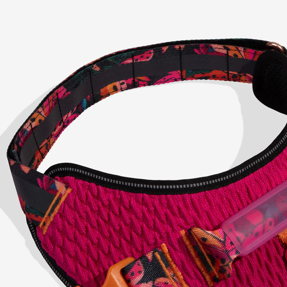 Zee.Dog FlyHarness | Selva