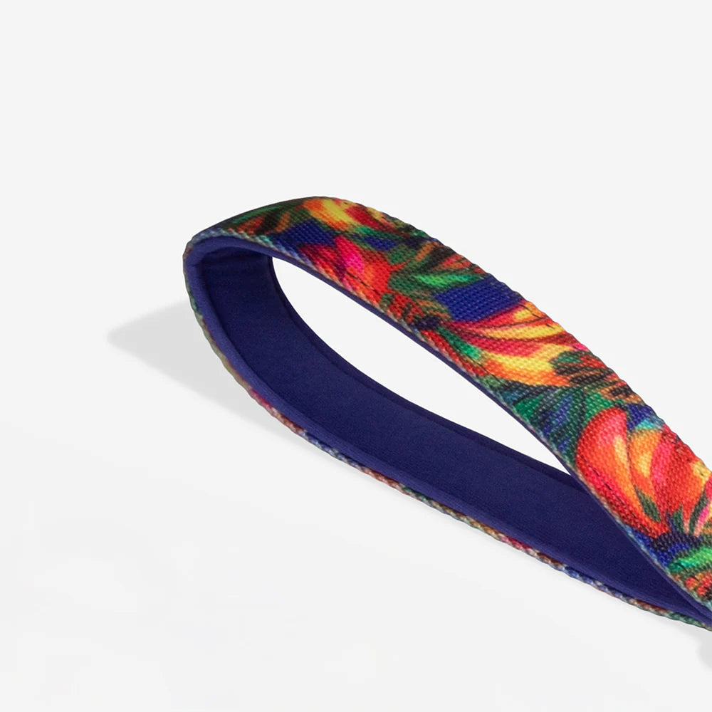 Zee.Dog Ruff Leash | Samba