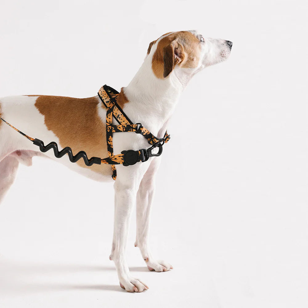 Zee Dog Softer Walk Harness | Bossa Banana