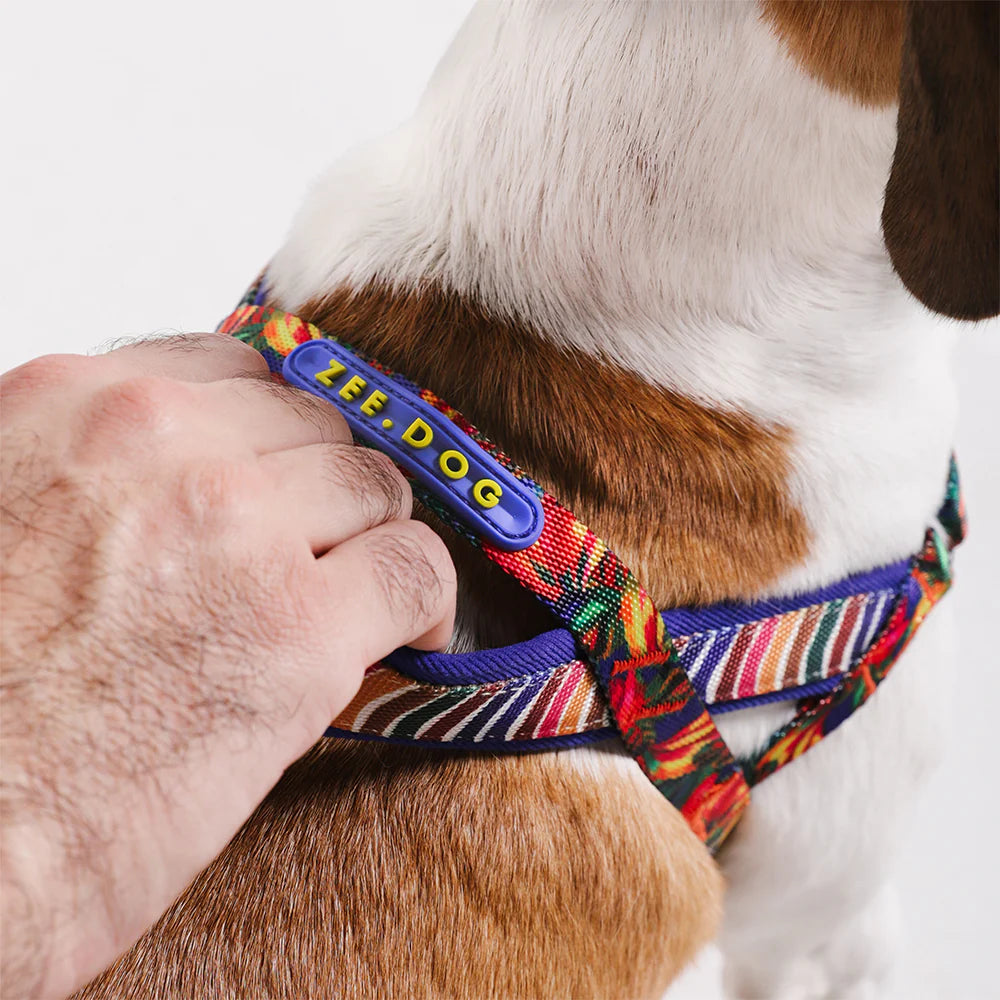 Zee Dog Softer Walk Harness | Samba