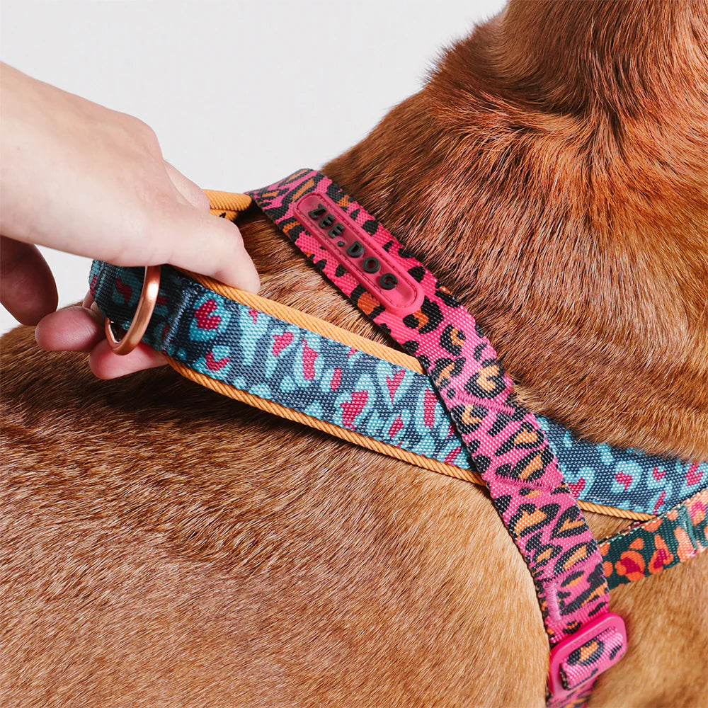 Zee Dog Softer Walk Harness | Selva