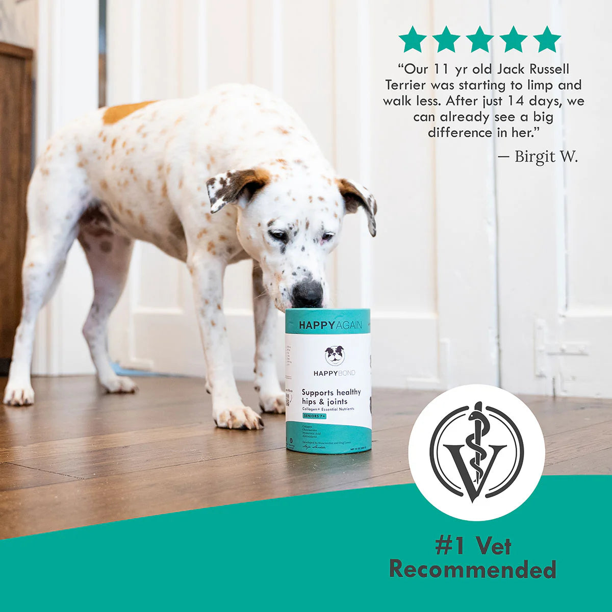Happy Again Collagen Joint Supplement for Senior Dogs