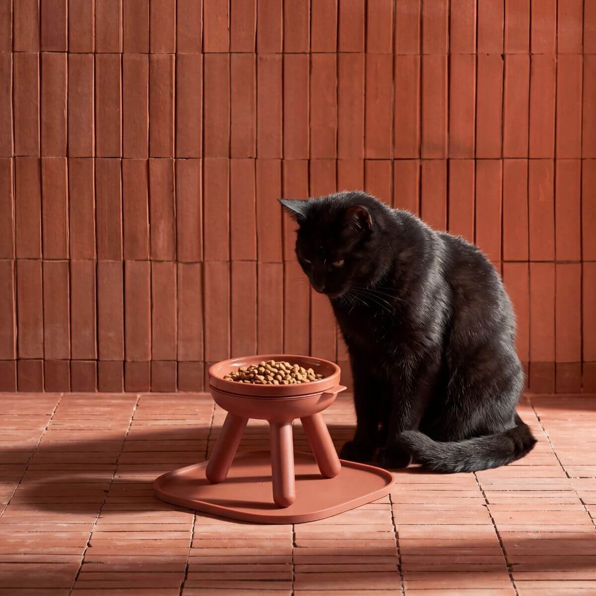 inherent outdoor oreo table brick against a terracotta background and a black cat beside.