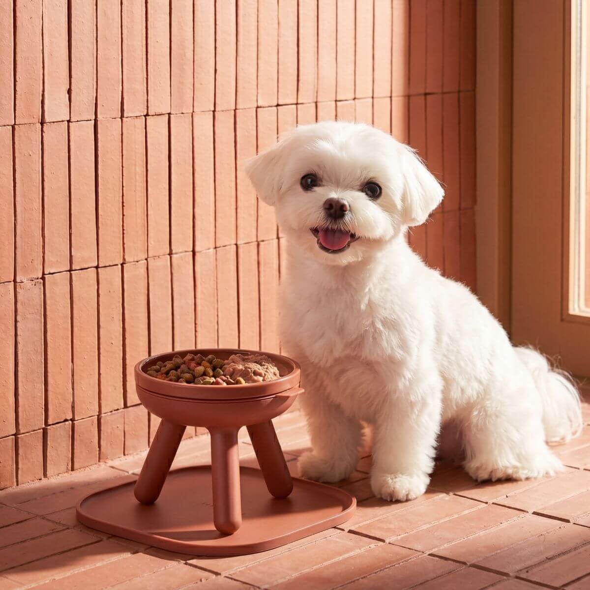 inherent outdoor oreo table brick against a terracotta background with a maltese next to it.