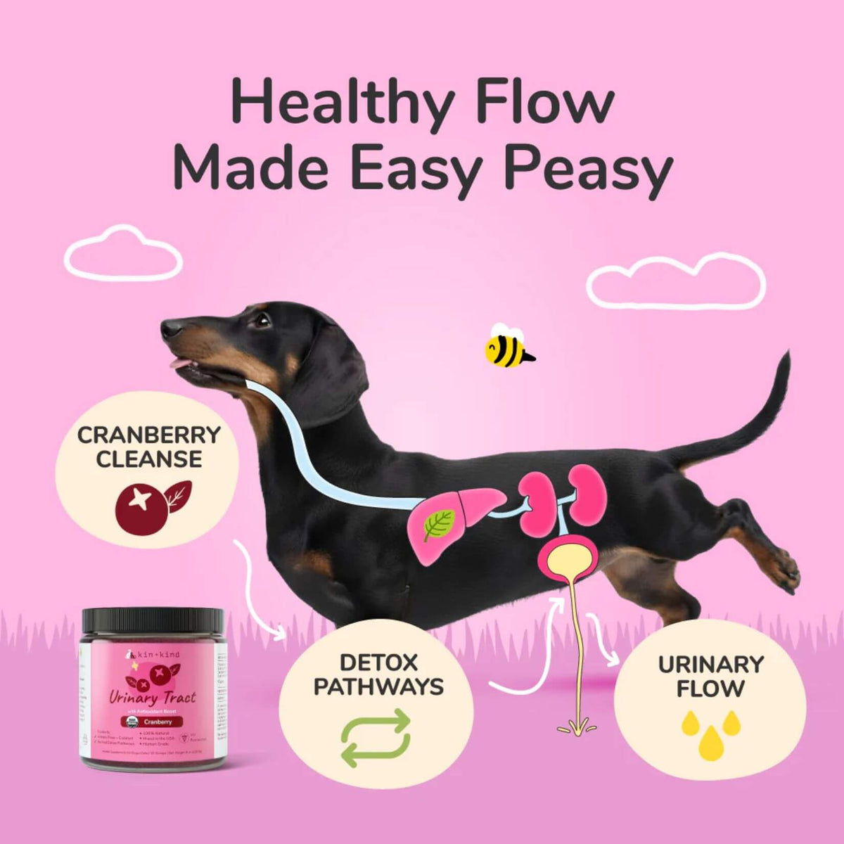 kin+kind Organic Urinary Tract (Healthy Immunity) Supplement