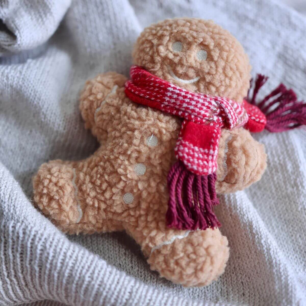 Lambwolf Mister Gingerbread against a soft fabric.