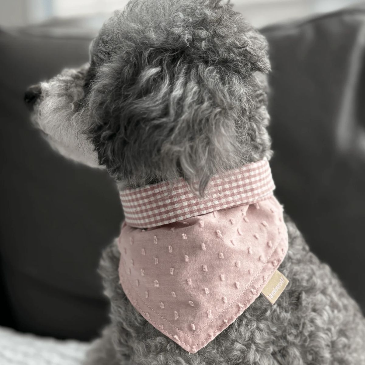 lambwolf reversible pink bandana on a grey poodle.