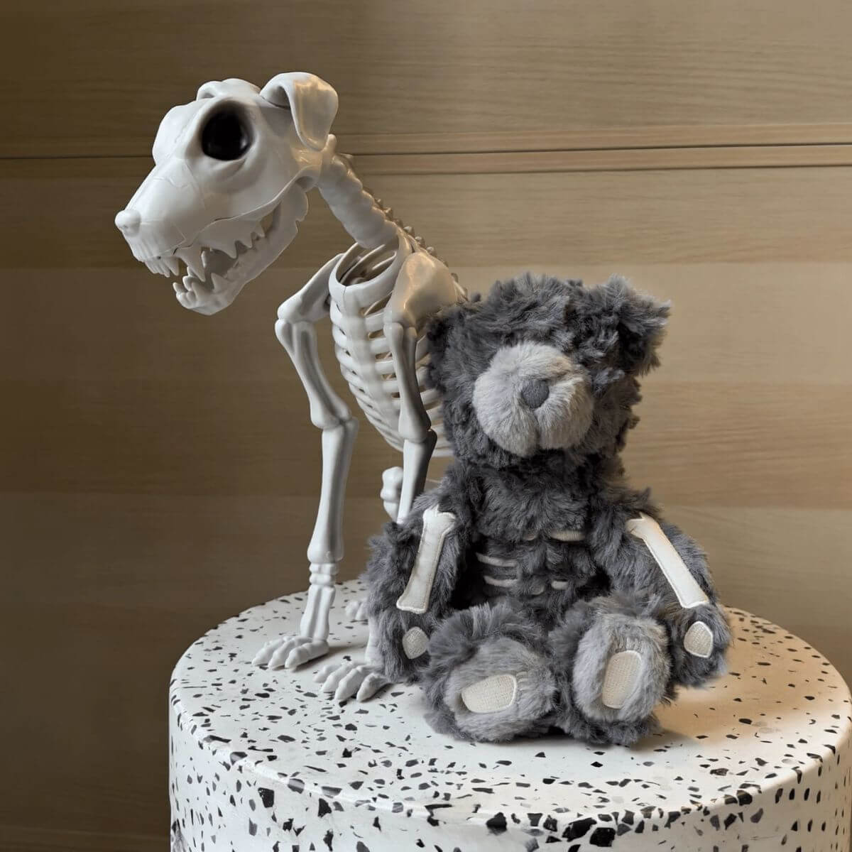 lambwolf skeleton teddy next to a skeleton of a dog.