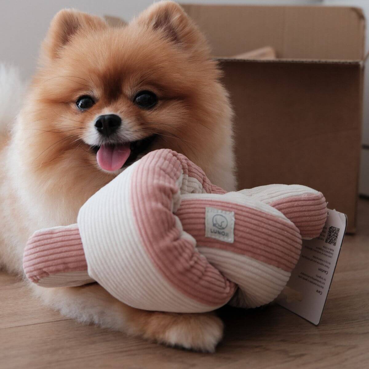 A pomeranian with the Lunoji Udon Snuffle Blush Pink.