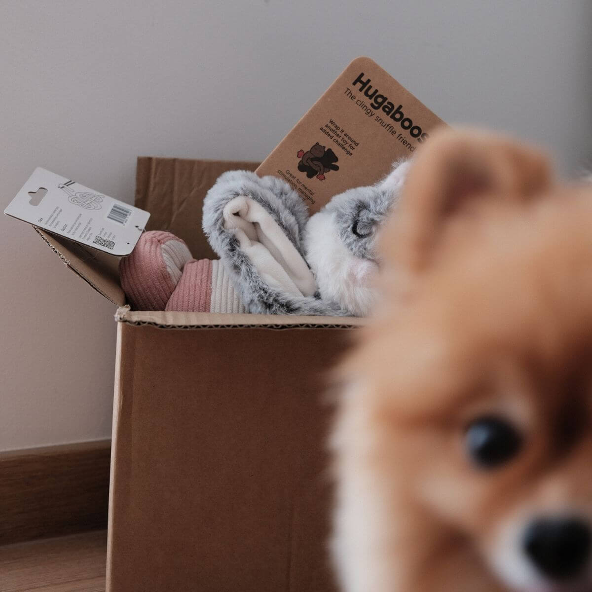 Lunoji Udon Snuffle Blush Pink, Powder Blue, and Hugaboo in a cardboard box.