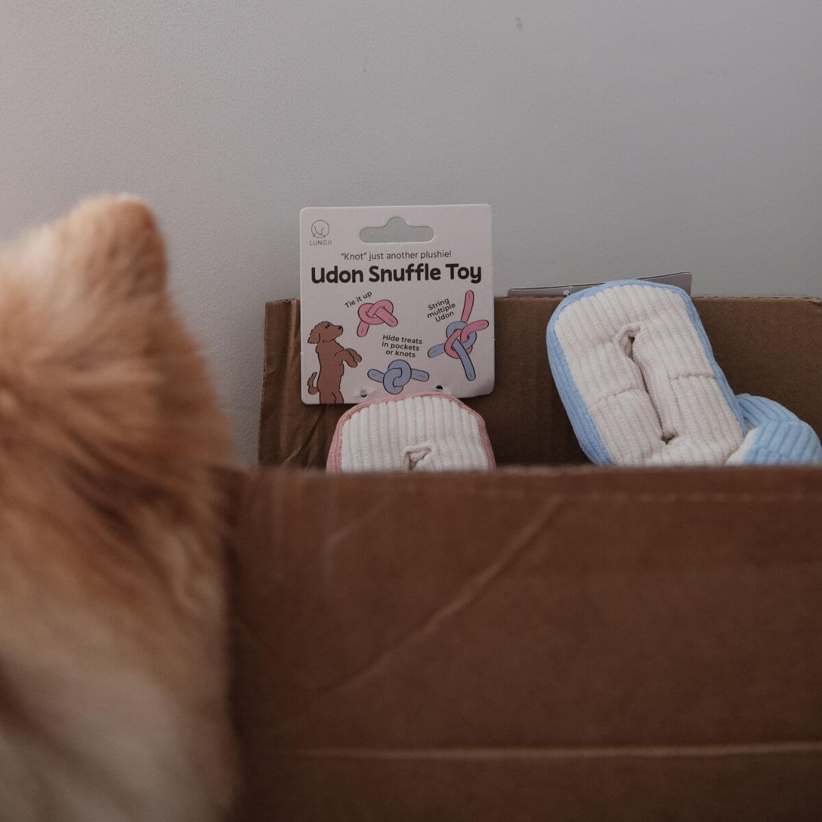 Lunoji Udon Snuffle Blush Pink and Powder Blue in a cardboard box.