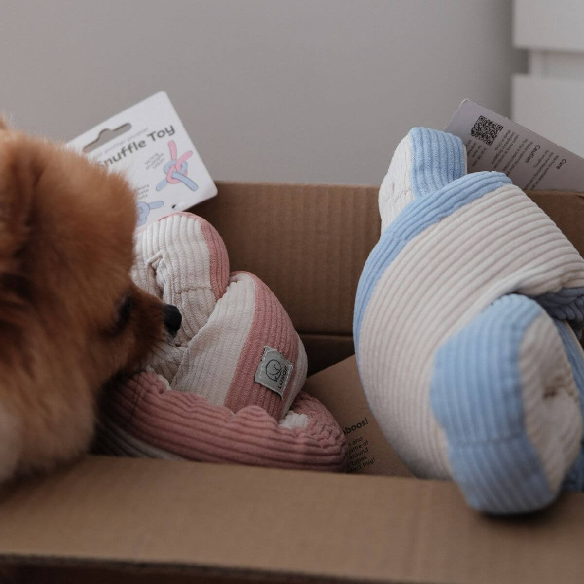 Lunoji Udon Snuffle Blush Pink and Powder Blue in a cardboard box.