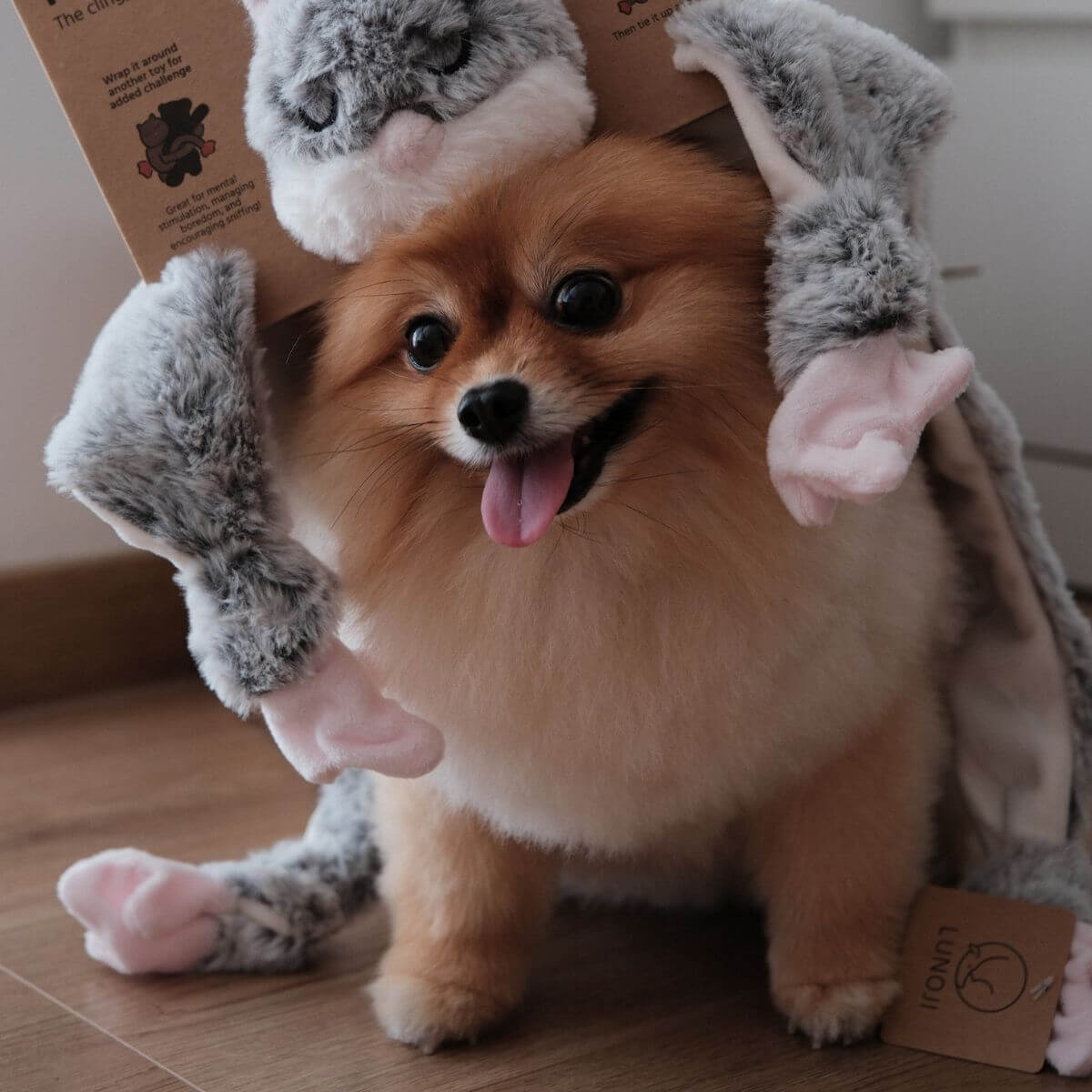 Lunoji Udon Snuffle Toy