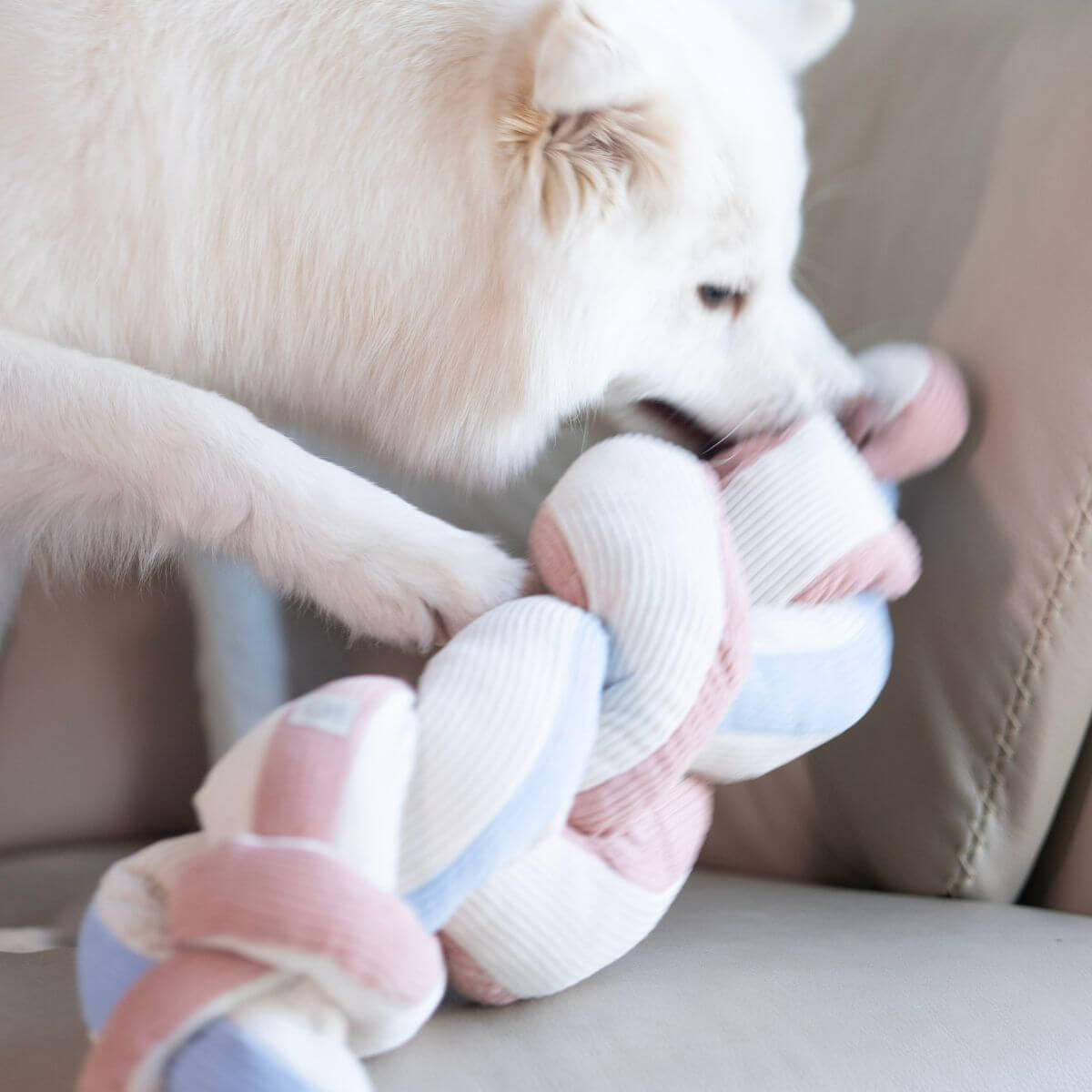 Lunoji Udon Snuffle Blush Pink knotted with the Powder Blue and a dog sniffing it on a sofa.