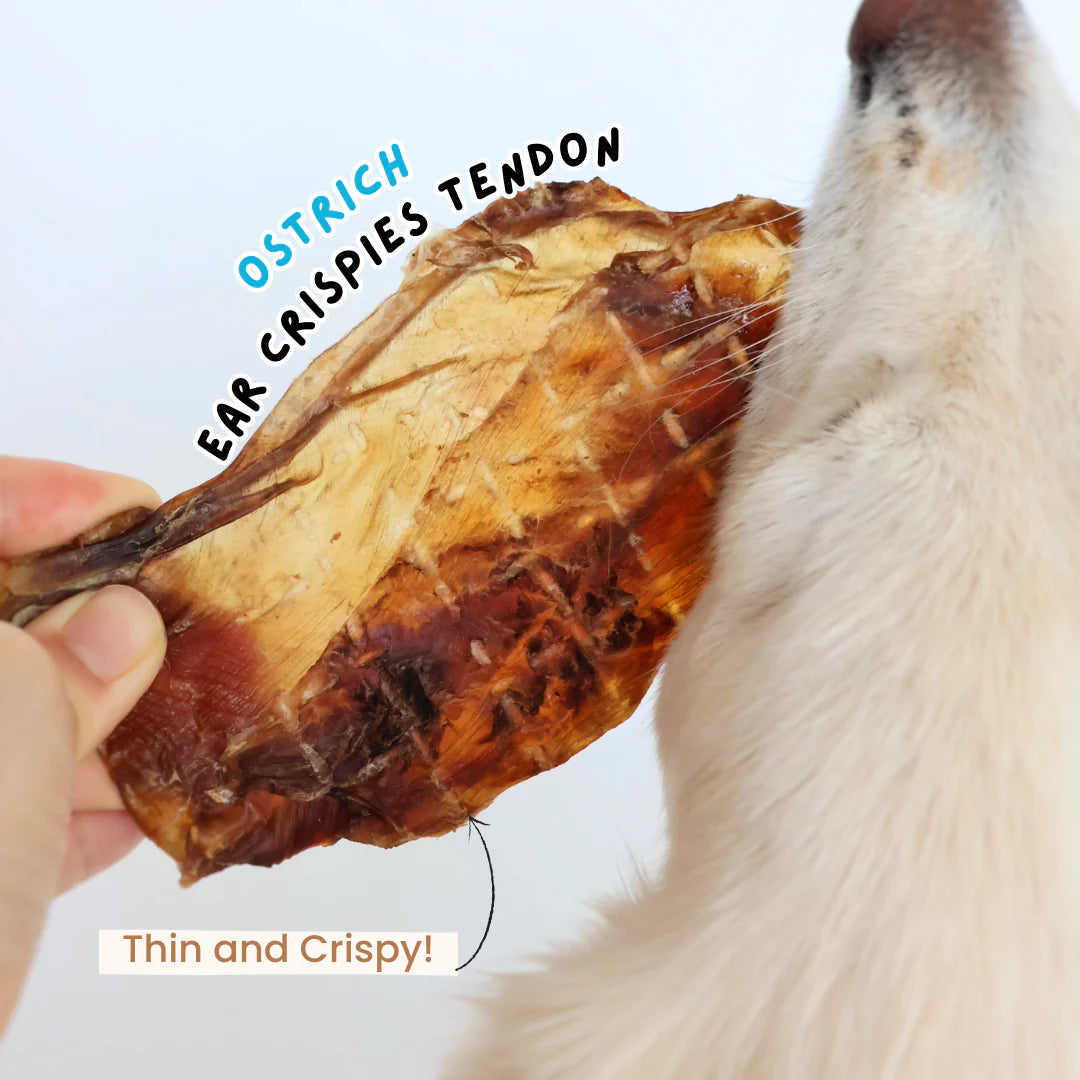 The Source-Sage Club Ostrich Tendon Ear Crispies