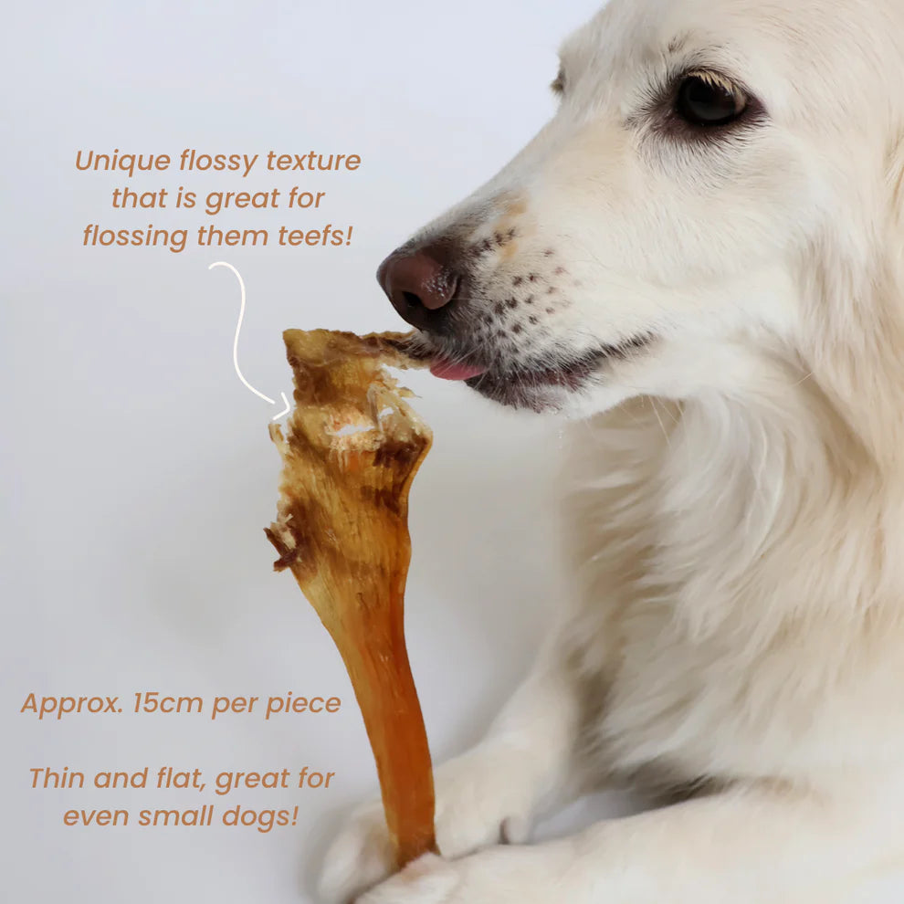 The Source-Sage Club Ostrich Thick Flat Tendon