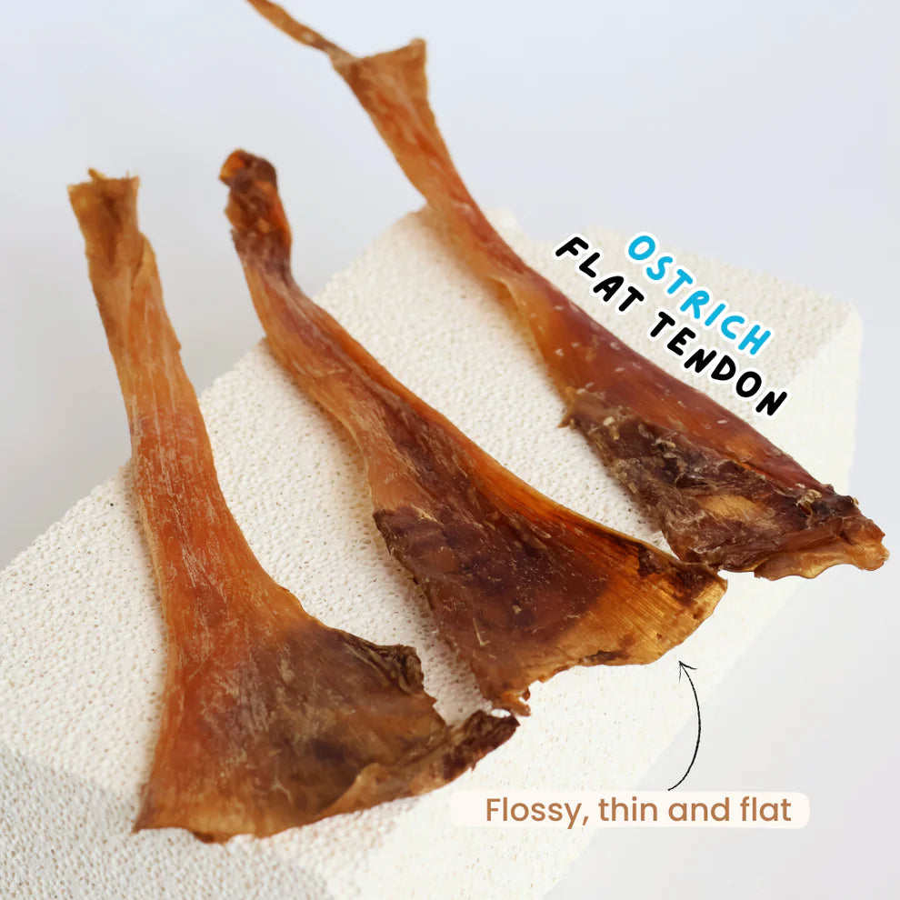 The Source-Sage Club Ostrich Thick Flat Tendon