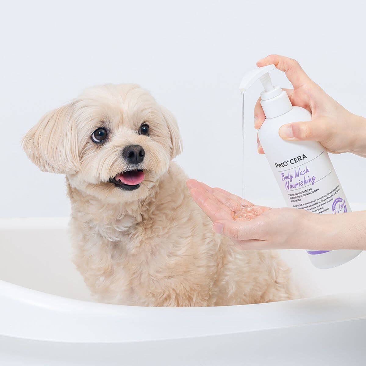 A dog with the PetO'CERA Body Wash Nourishing in a tub.