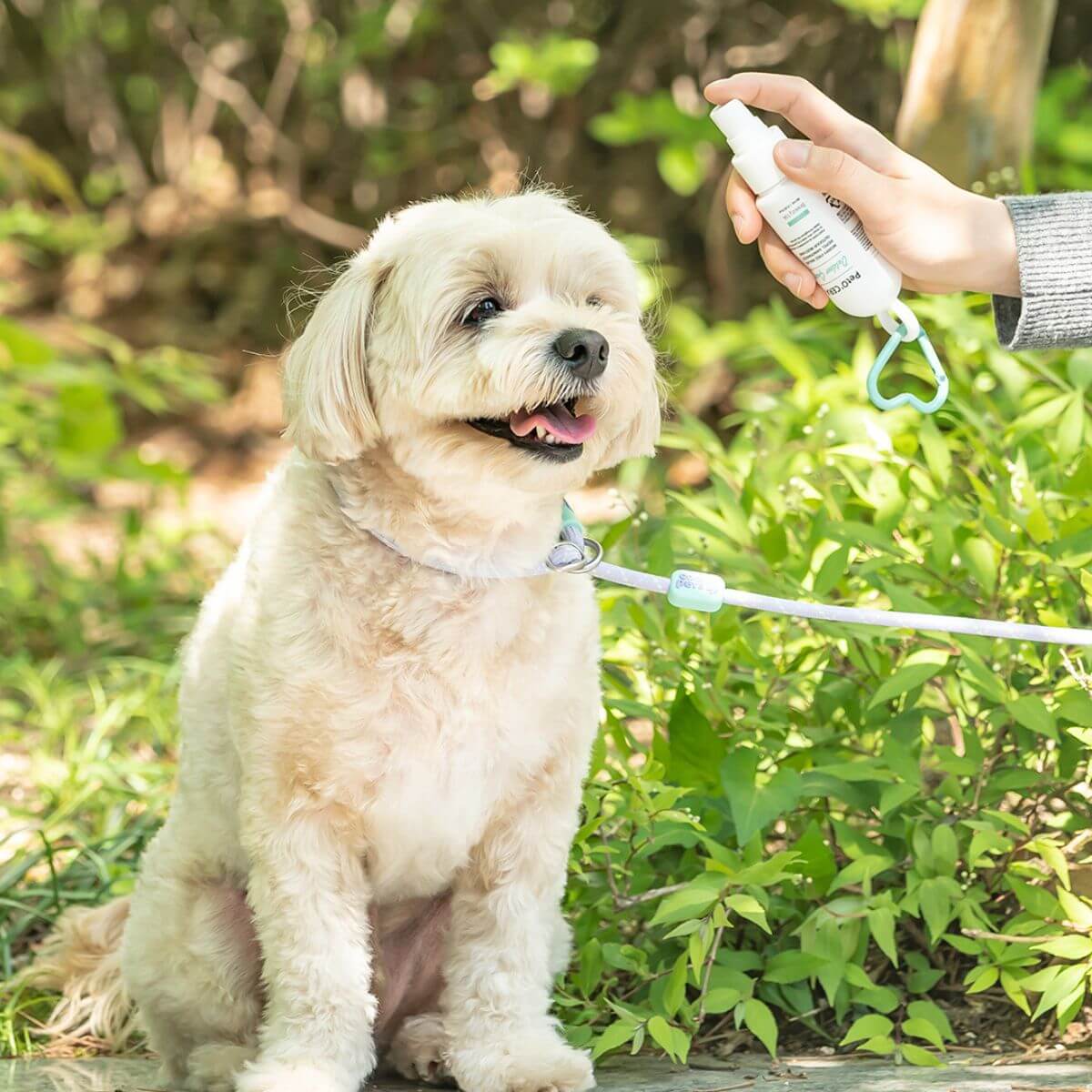 The PetO'CERA Outdoor Guardian Mist used outdoors on a dog.
