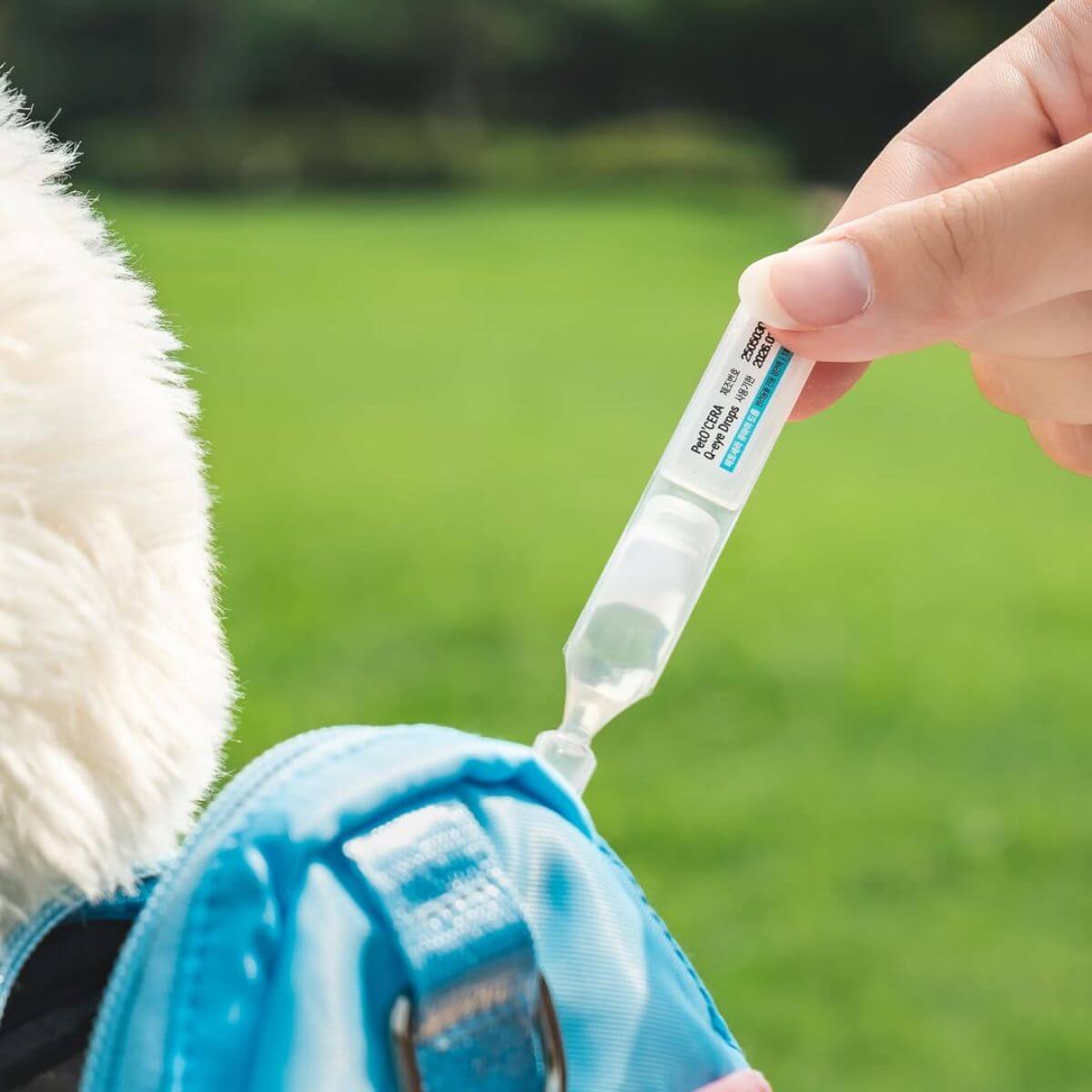 Individual vial of the PetO'Cera Q Eye Drops outdoors.