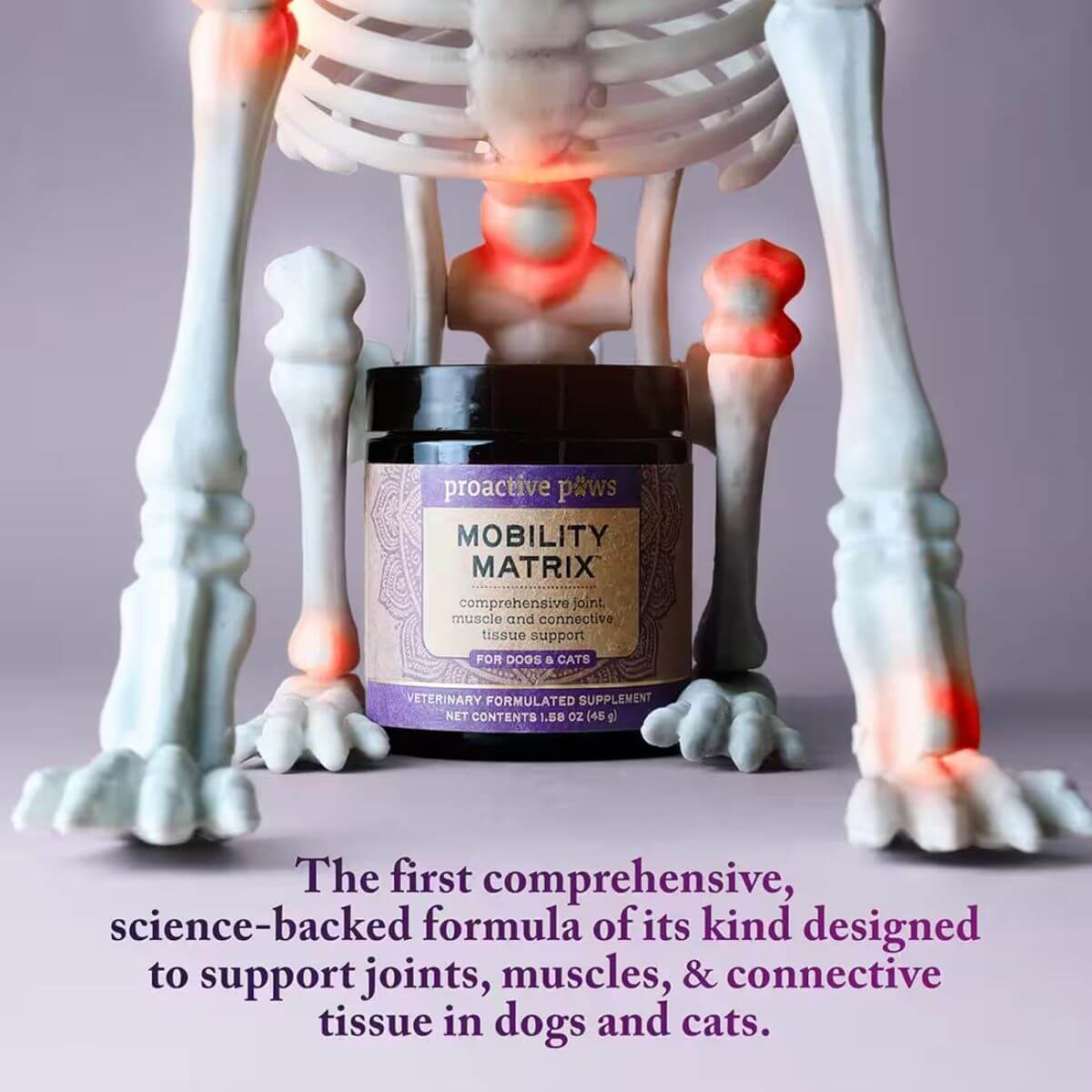 Proactive Paws Mobility Matrix first comprehensive science-backed formula to support muscles, joints, and connective tissues.