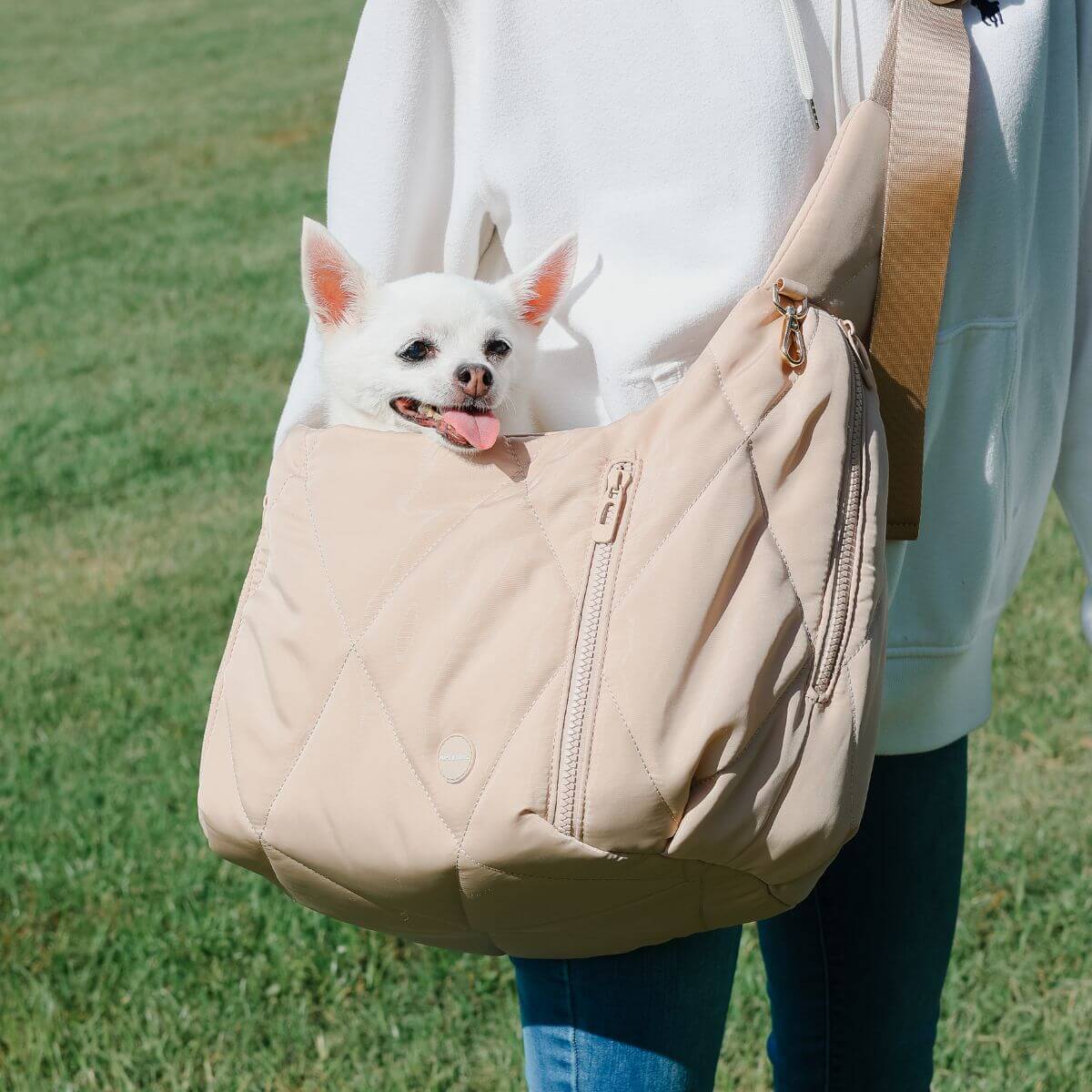 A dog inside the Pups & Bubs Cloud Crossbody Carrier in Lattein a grassy field.