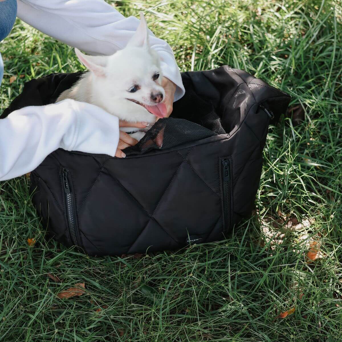 A dog inside the Pups & Bubs Cloud Crossbody Carrier in Black on grass.