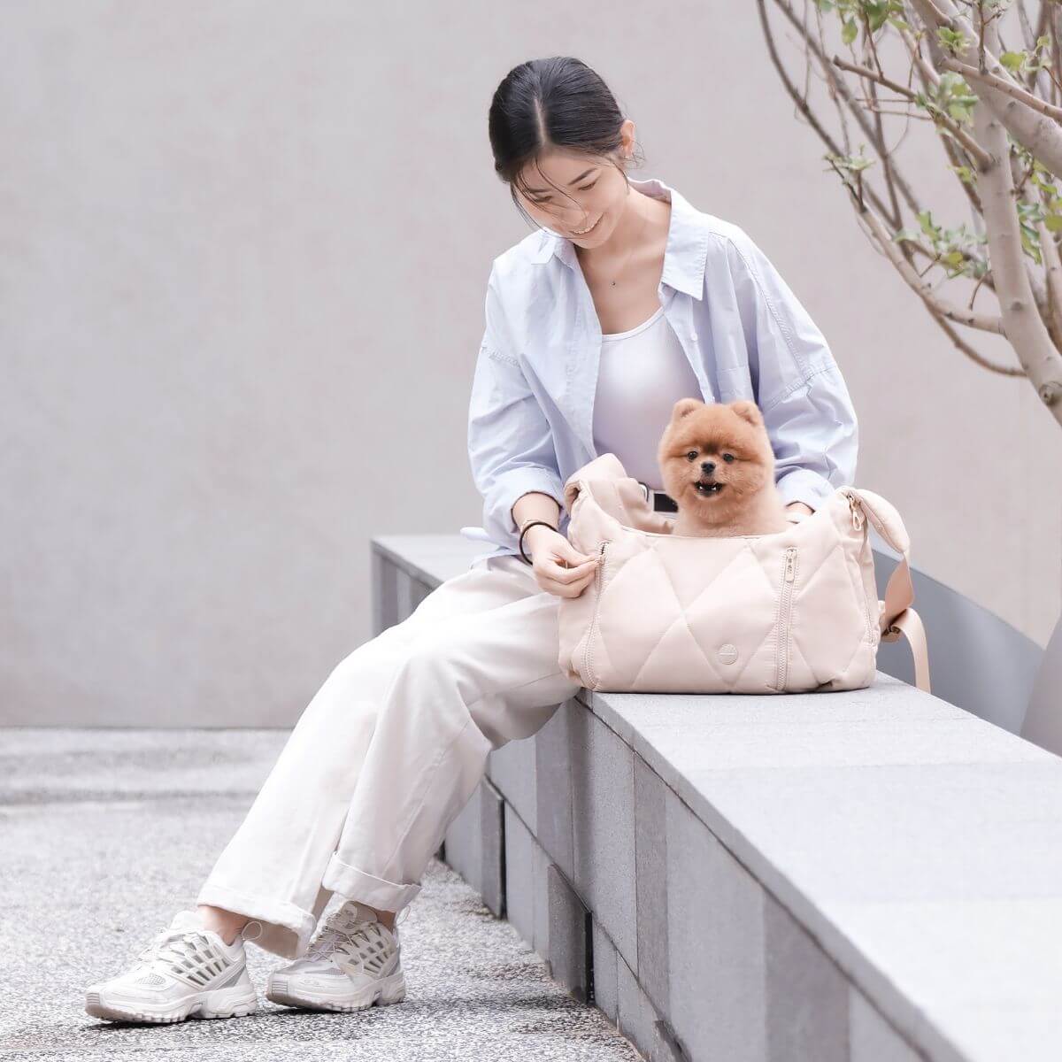 A brown pomeranian inside the Pups & Bubs Cloud Crossbody Carrier in Latte.