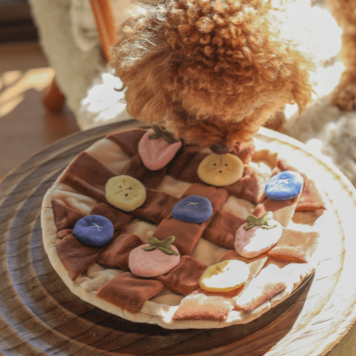 a doodle sniffing the banana on the pups and bubs fruity delight crepe snuffle mat.