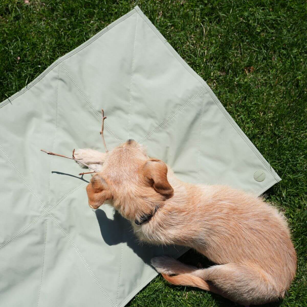 Pups & Bubs Jouir Travel Mat in Sage on grass.