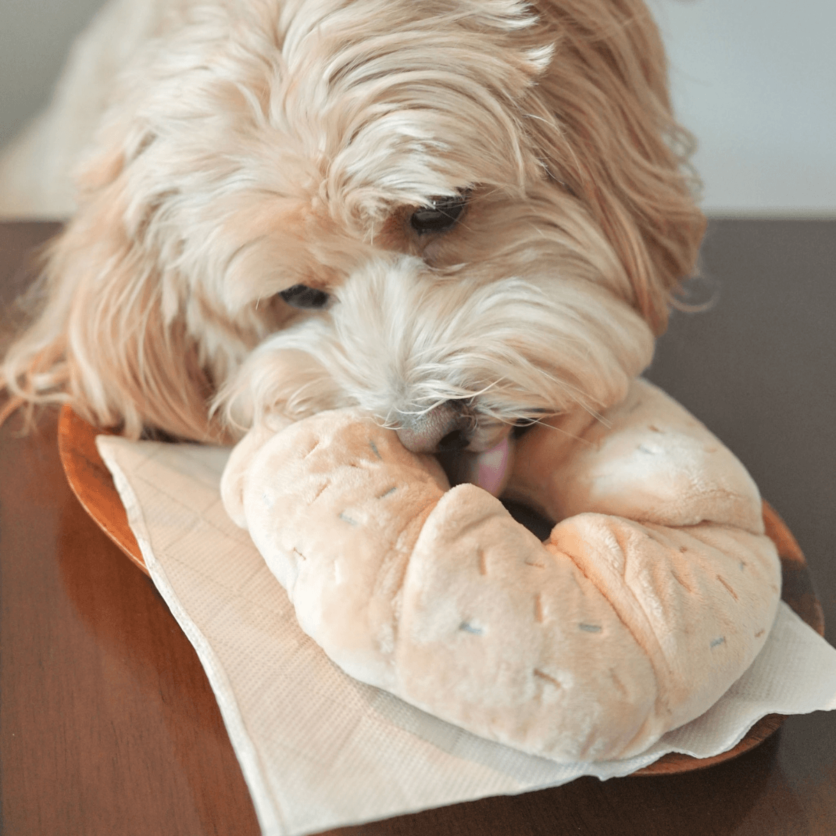 A doodle licking the pups and bubs sprinkle donut nosework toy.