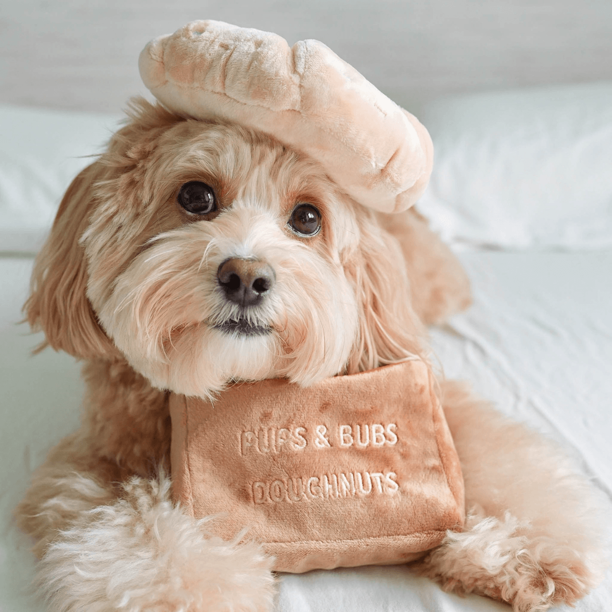 A doodle wearing the pups and bubs sprinkle donut nosework toy as a hat.