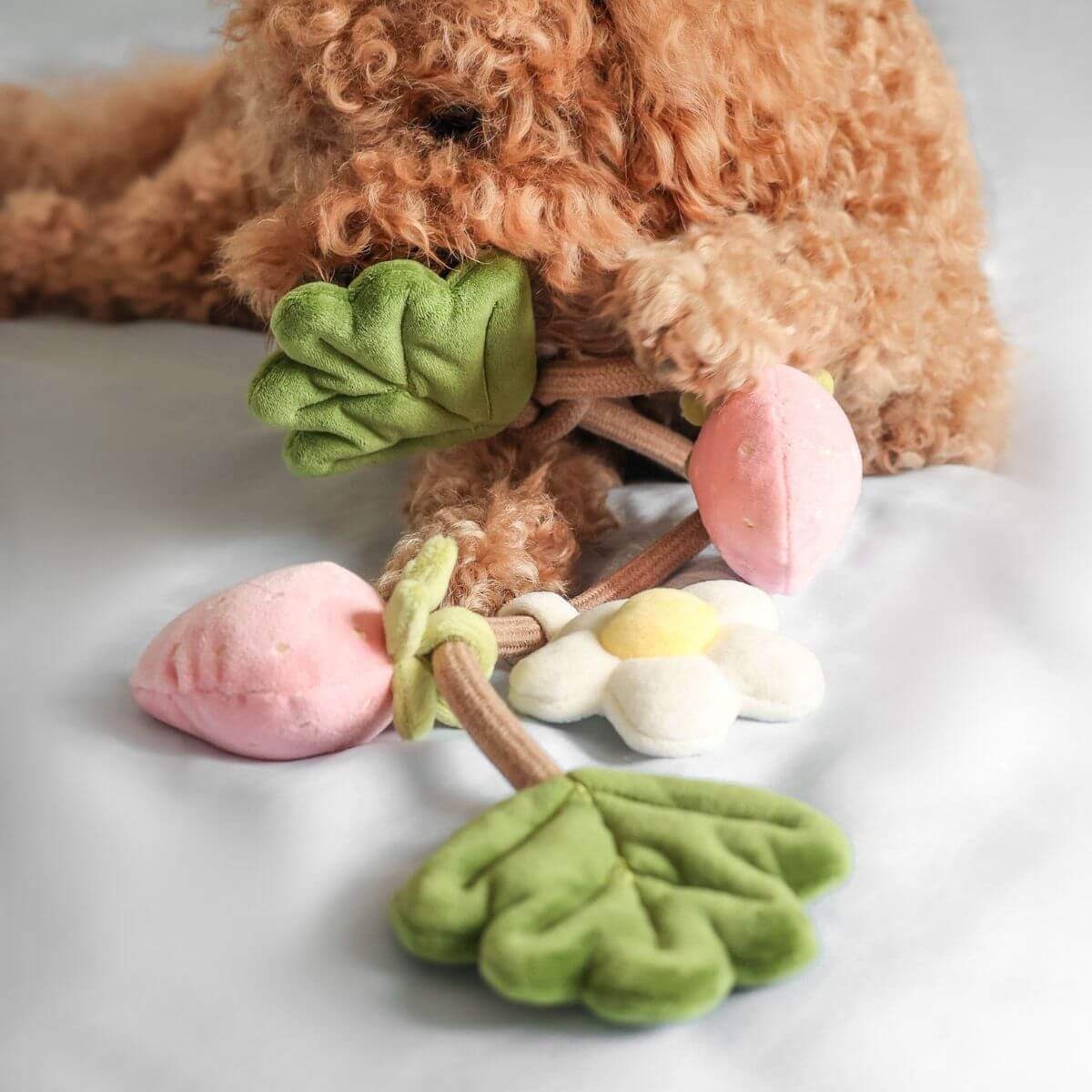 Pups & Bubs Strawberry Vine Rope Toy