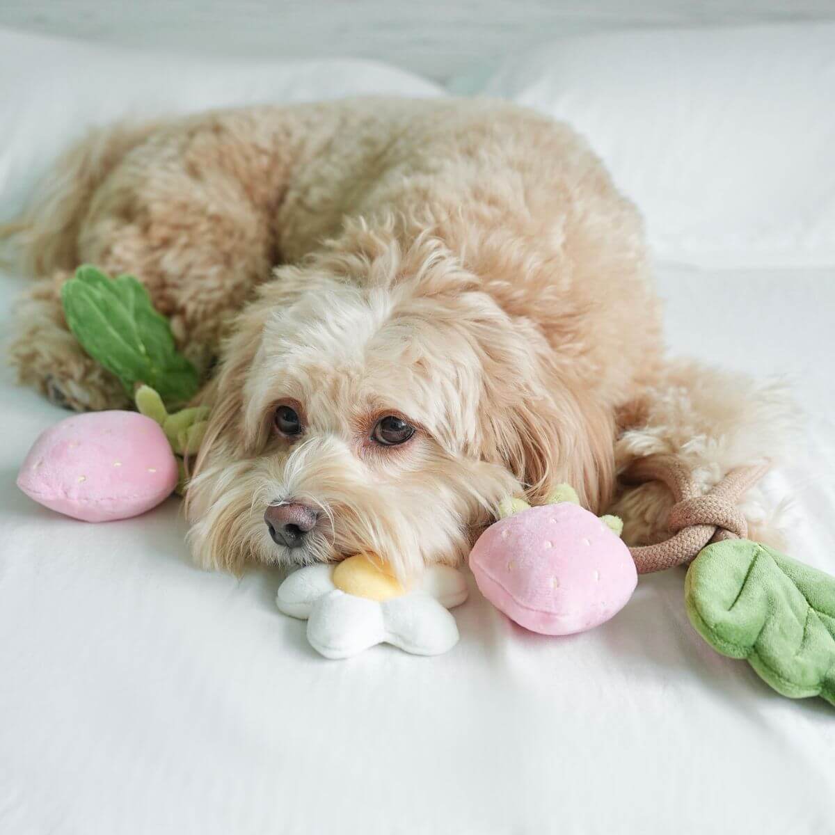 Pups & Bubs Strawberry Vine Rope Toy