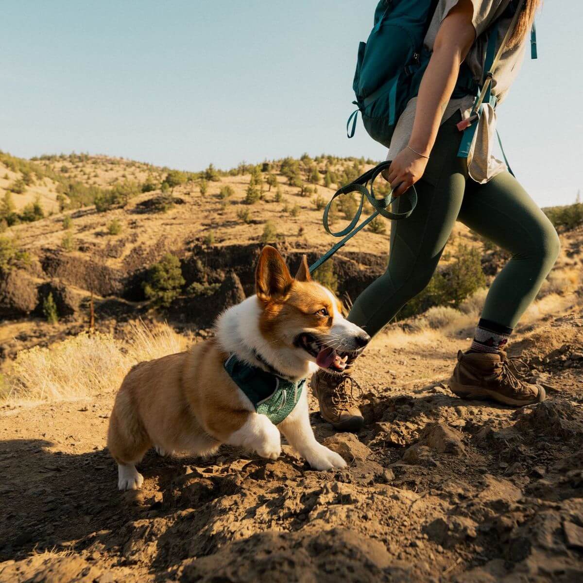 Ruffwear Front Range® Flex Harness