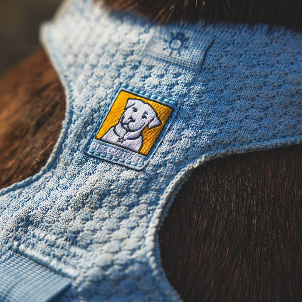 Ruffwear Front Range® Flex Harness