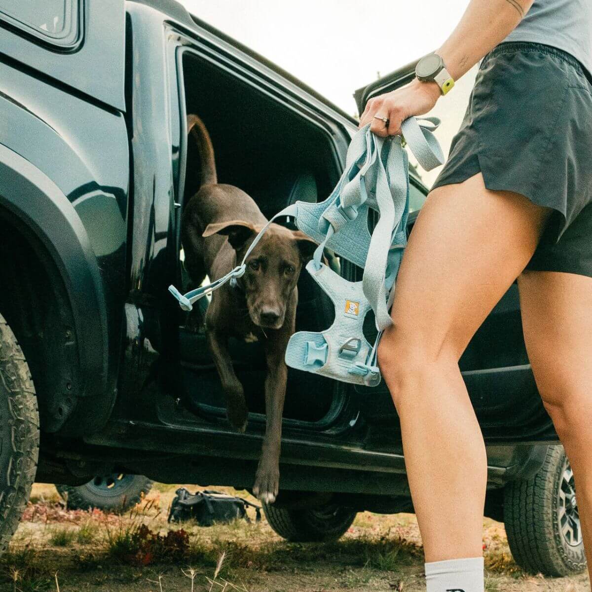 Ruffwear Front Range® Flex Harness